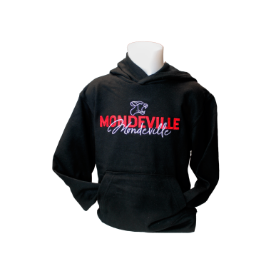 Sweat à capuche adulte