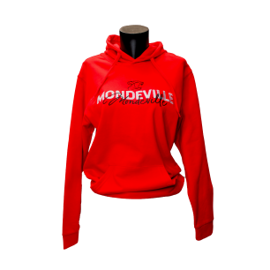 Sweat à capuche adulte