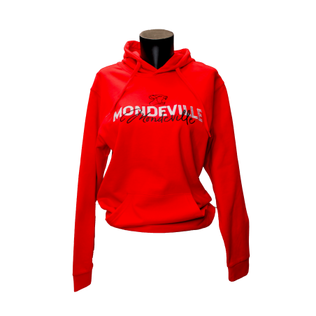 Sweat à capuche adulte