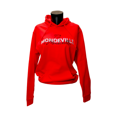 Sweat à capuche adulte